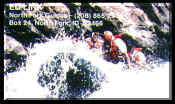 Salmon River Whitewater Rafting
