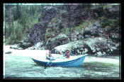 Dorie on the Salmon